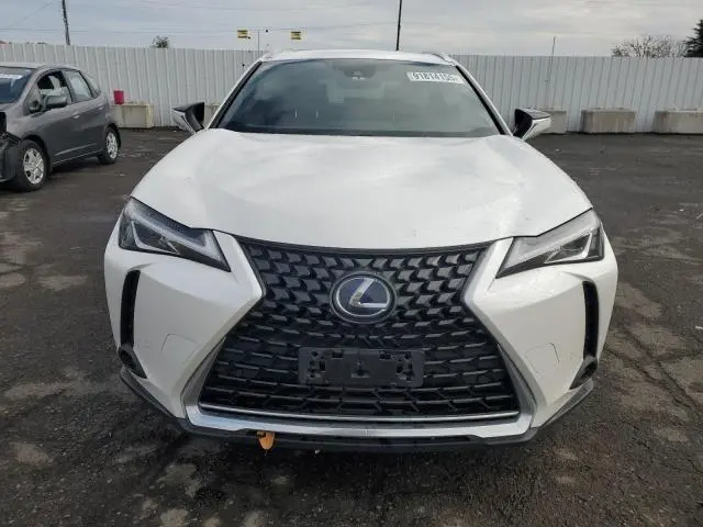 2019 LEXUS UX 250H  