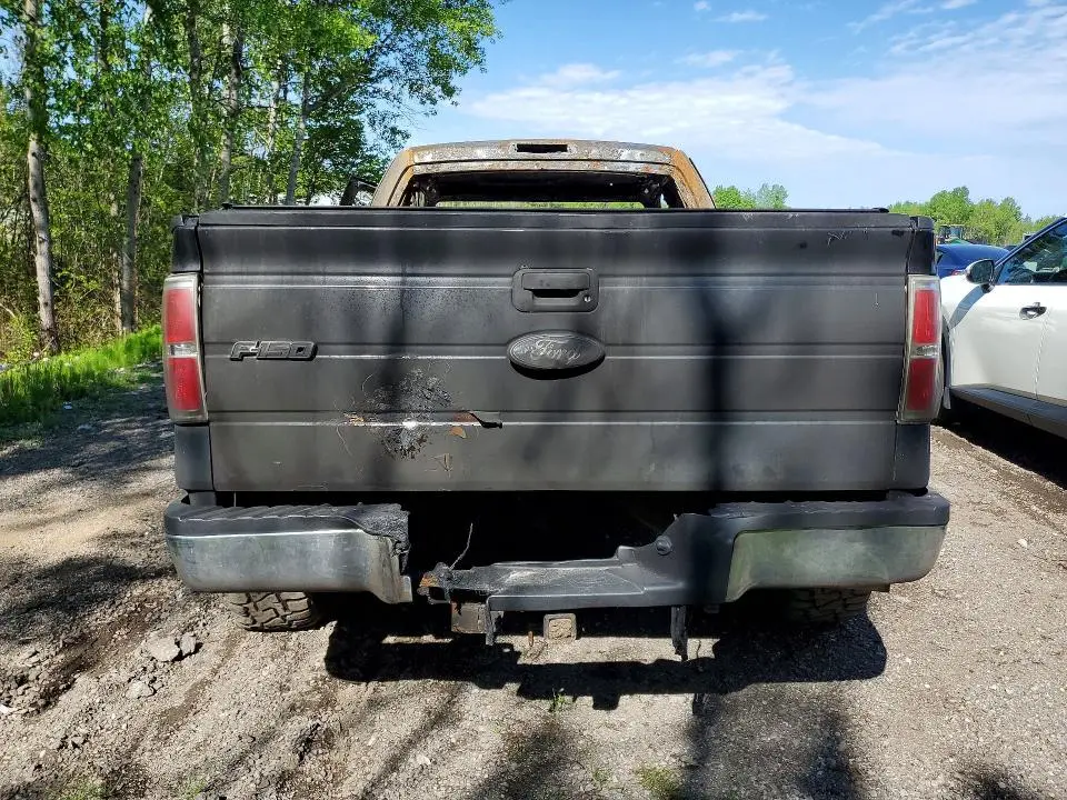 2010 FORD F150   