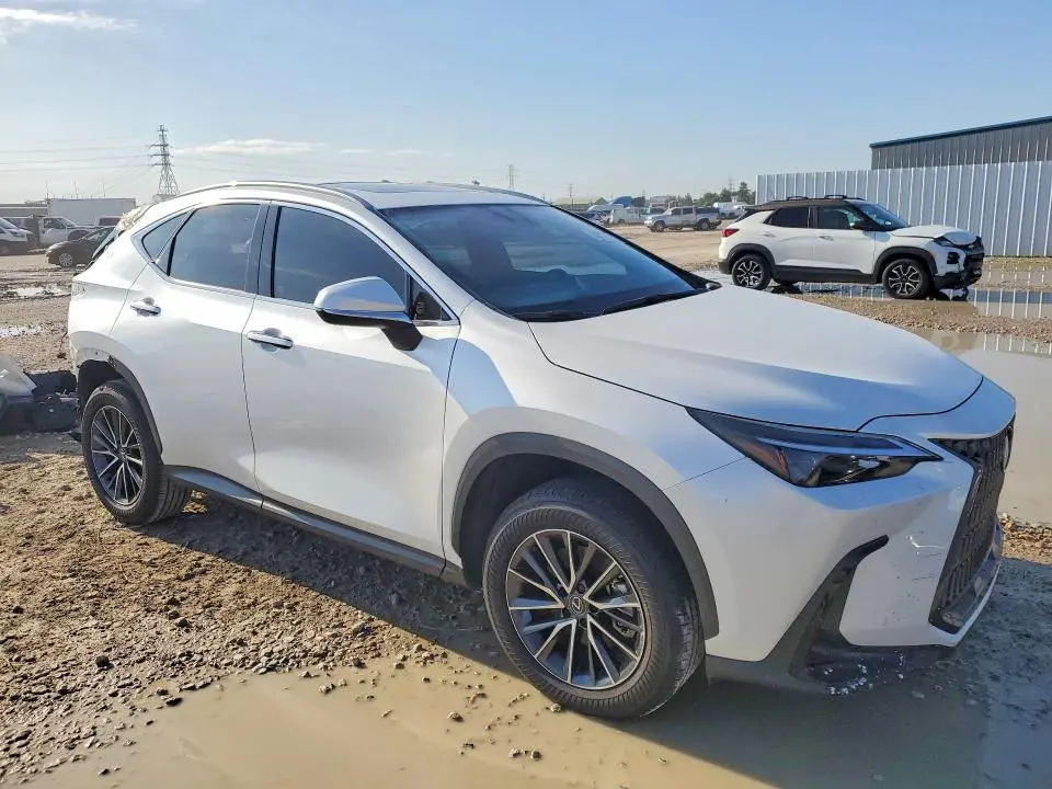 2025 LEXUS NX   