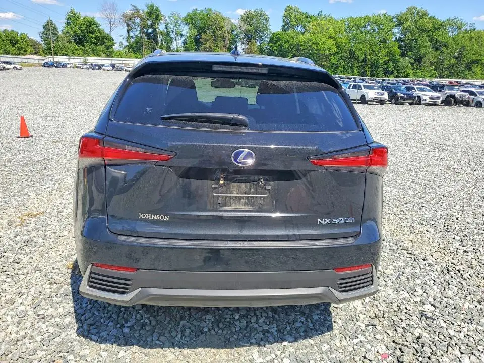 2019 LEXUS NX 300H  