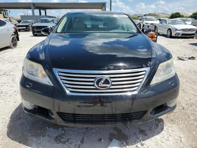 2010 LEXUS LS 460  