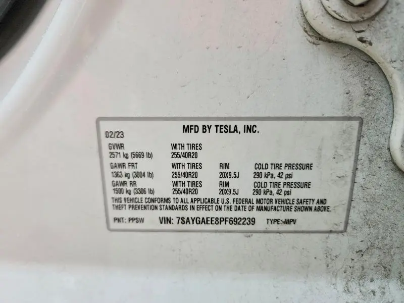 2023 TESLA MODEL Y   
