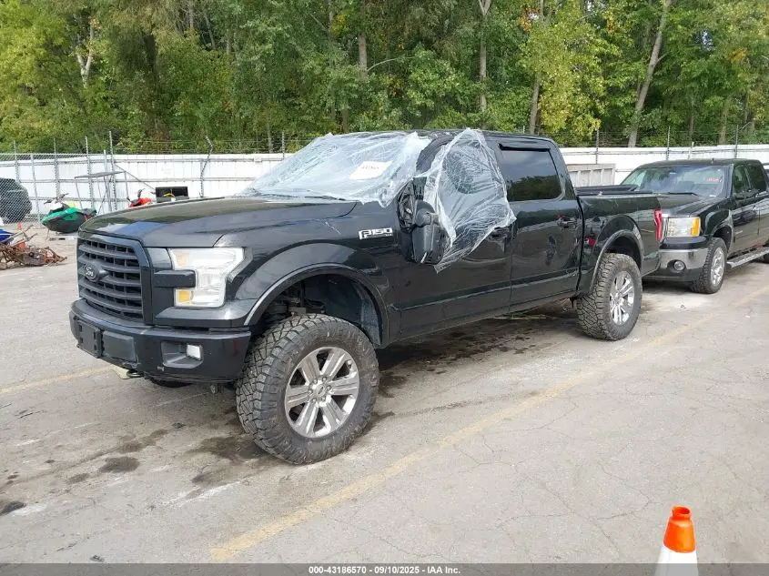 2015 FORD F-150 XLT