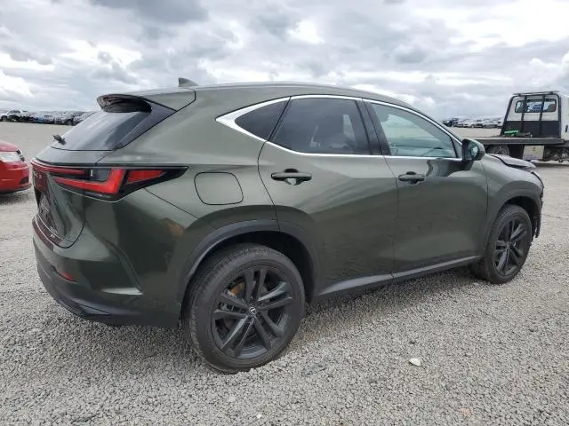 2024 LEXUS NX 450H LUXURY  