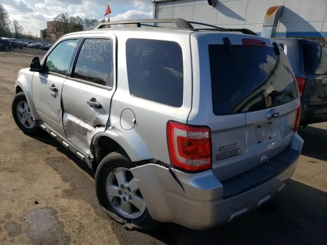 2010 FORD ESCAPE XLT