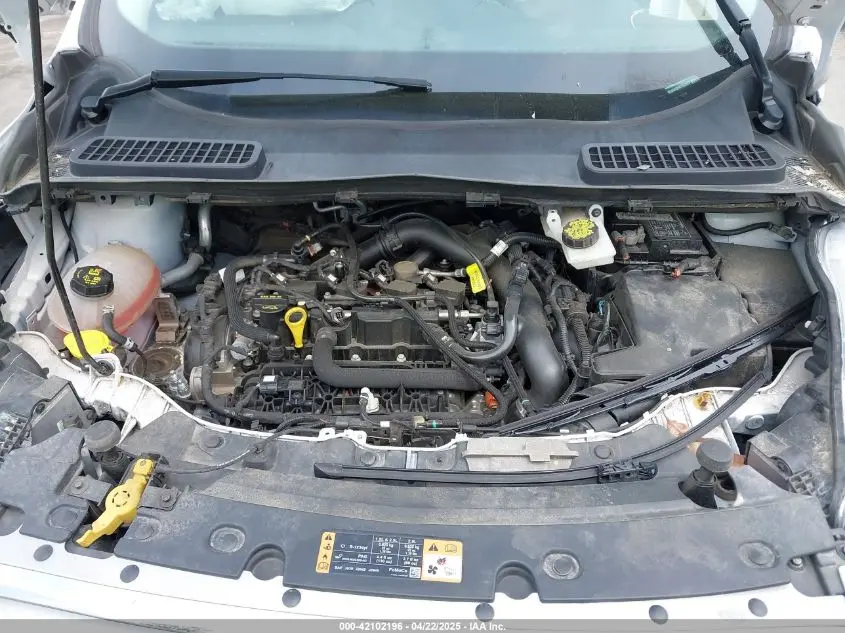 2019 FORD ESCAPE SEL