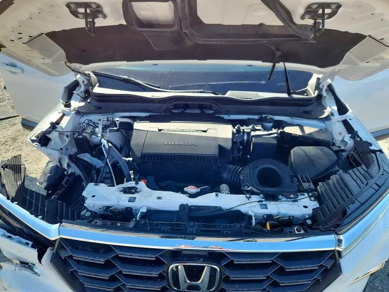 2025 HONDA PILOT EXL  
