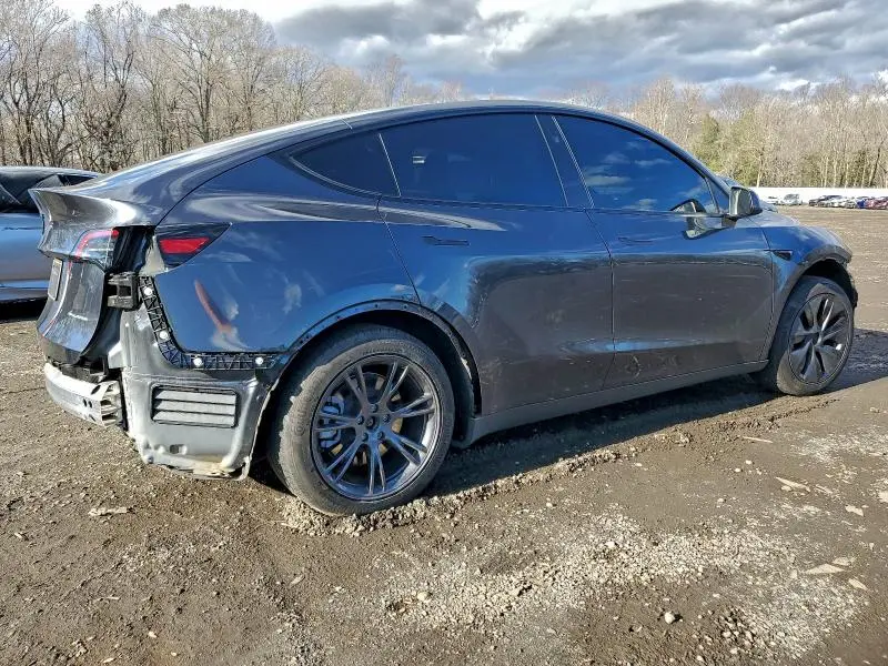 2025 TESLA MODEL Y   