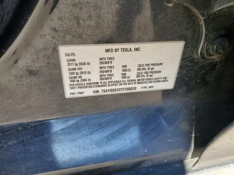 2026 TESLA MODEL Y   