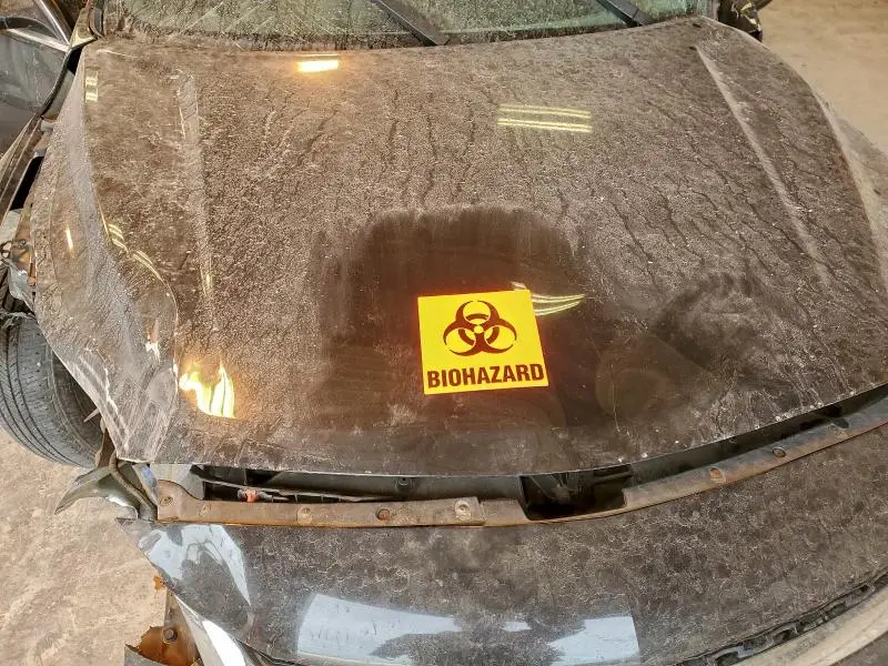 2015 CHEVROLET MALIBU LS  