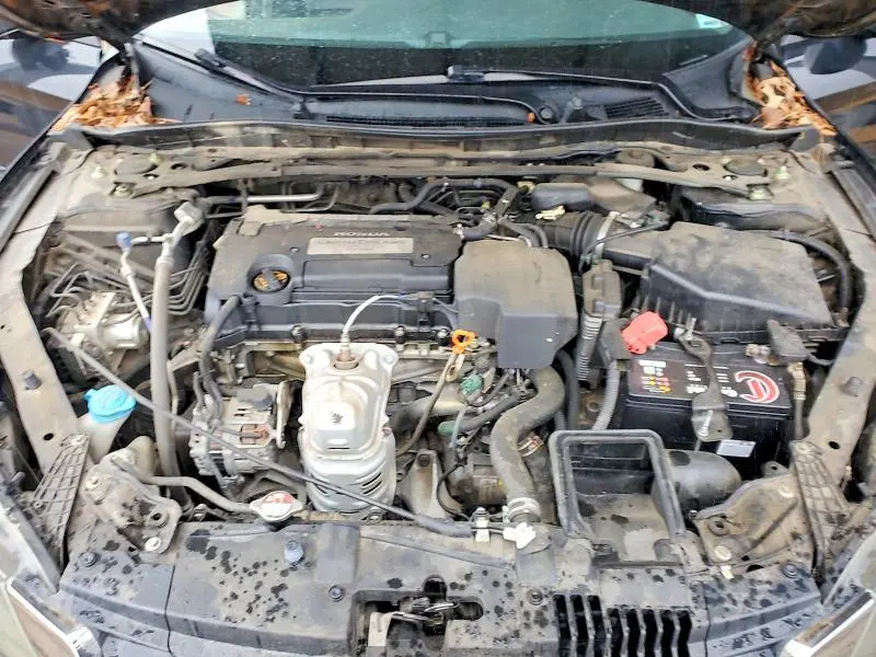 2013 HONDA ACCORD EXL  