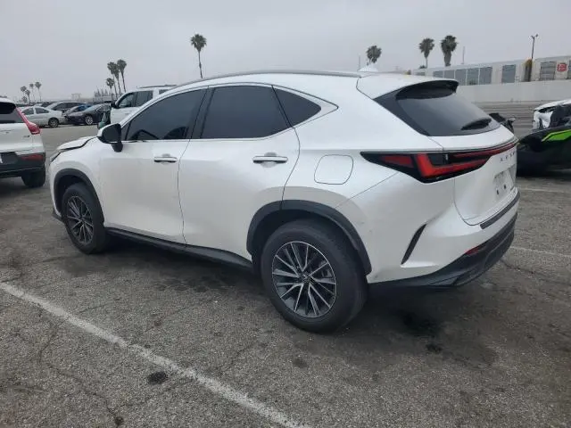 2024 LEXUS NX 350 BASE  