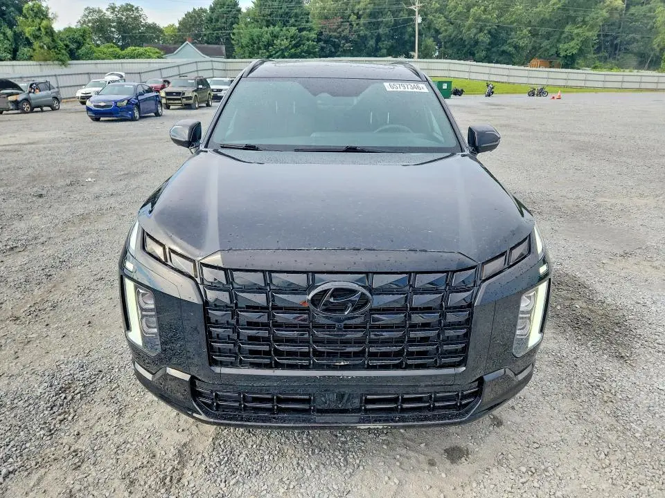 2024 HYUNDAI PALISADE CALLIGRAPHY NIGHT EDITION  