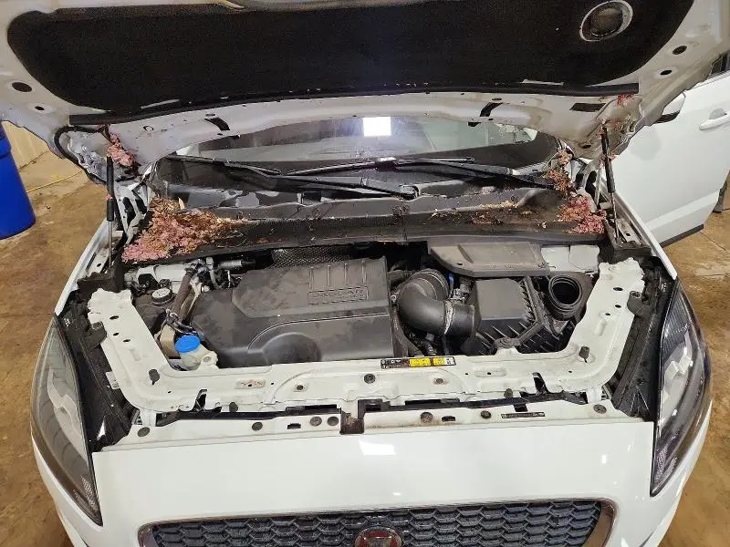 2019 JAGUAR E-PACE SE  