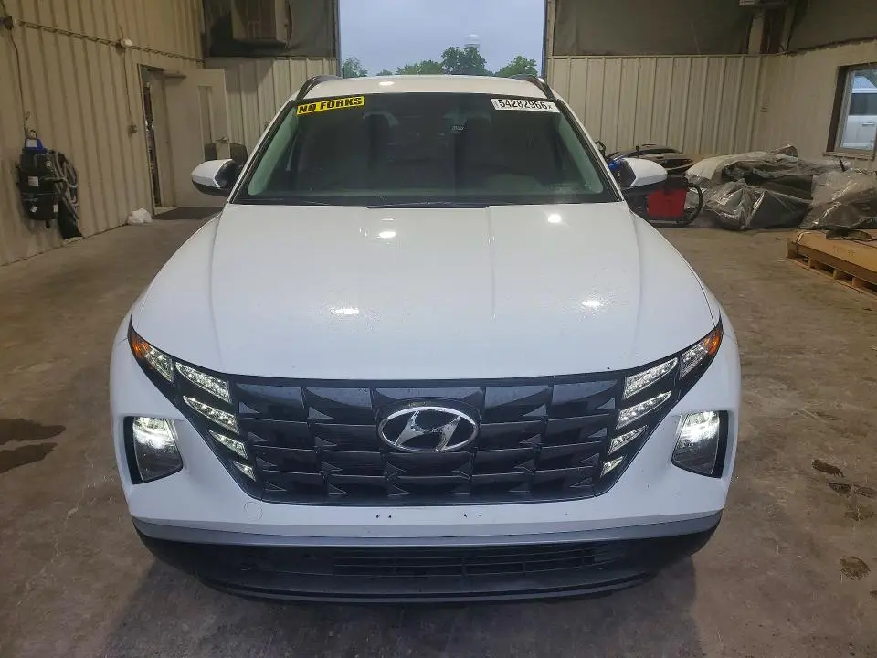 2024 HYUNDAI TUCSON BLUE  
