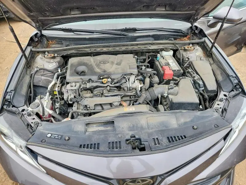 2019 TOYOTA CAMRY LE  
