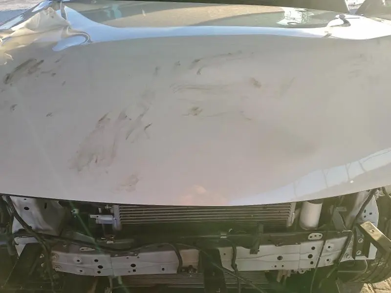 2023 INFINITI QX80 SENSORY  