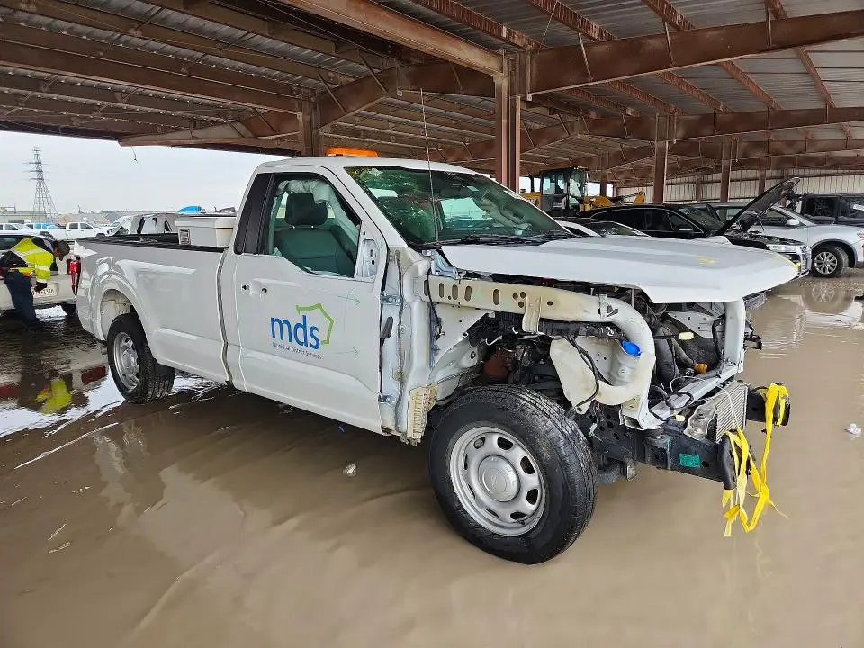 2024 FORD F150 XL  