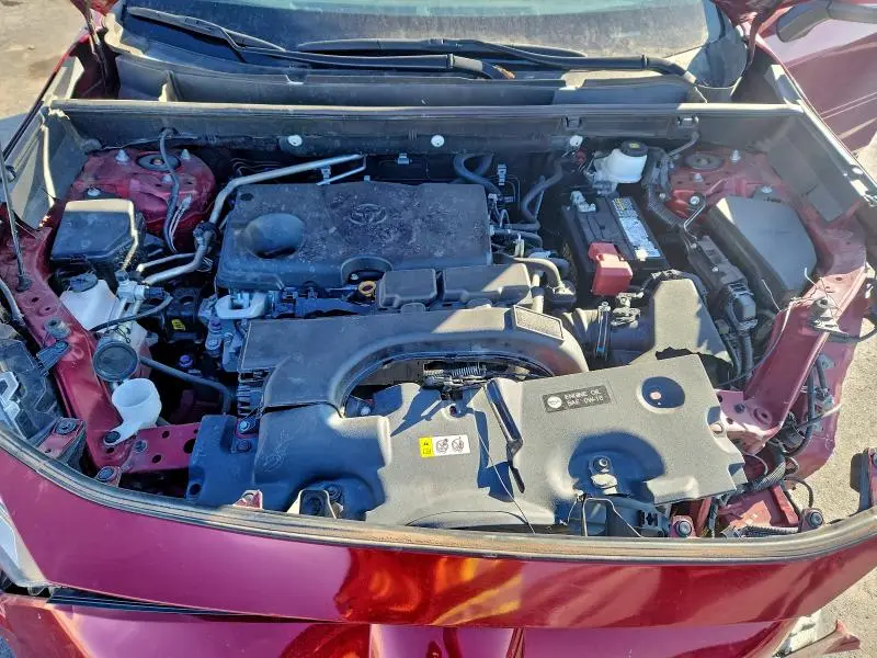 2019 TOYOTA RAV4 XLE  