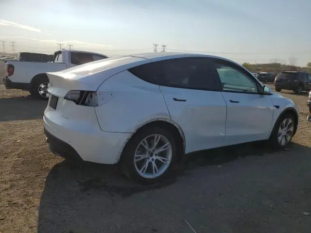 2020 TESLA MODEL Y   
