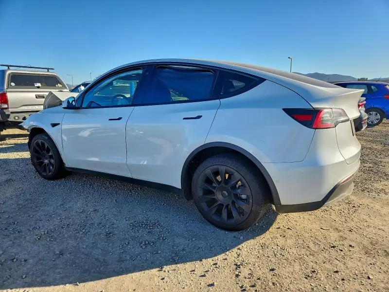 2020 TESLA MODEL Y   