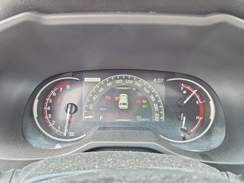 2019 TOYOTA RAV4 LIMITED  