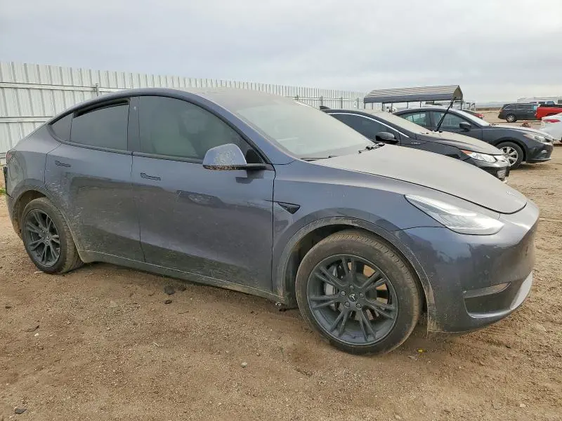 2020 TESLA MODEL Y   