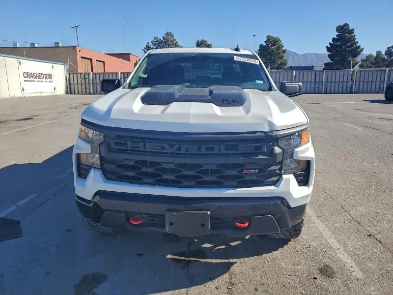 2025 CHEVROLET SILVERADO K1500 TRAIL BOSS CUSTOM  