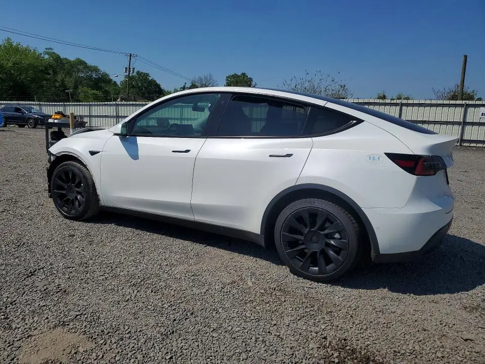 2021 TESLA MODEL Y   