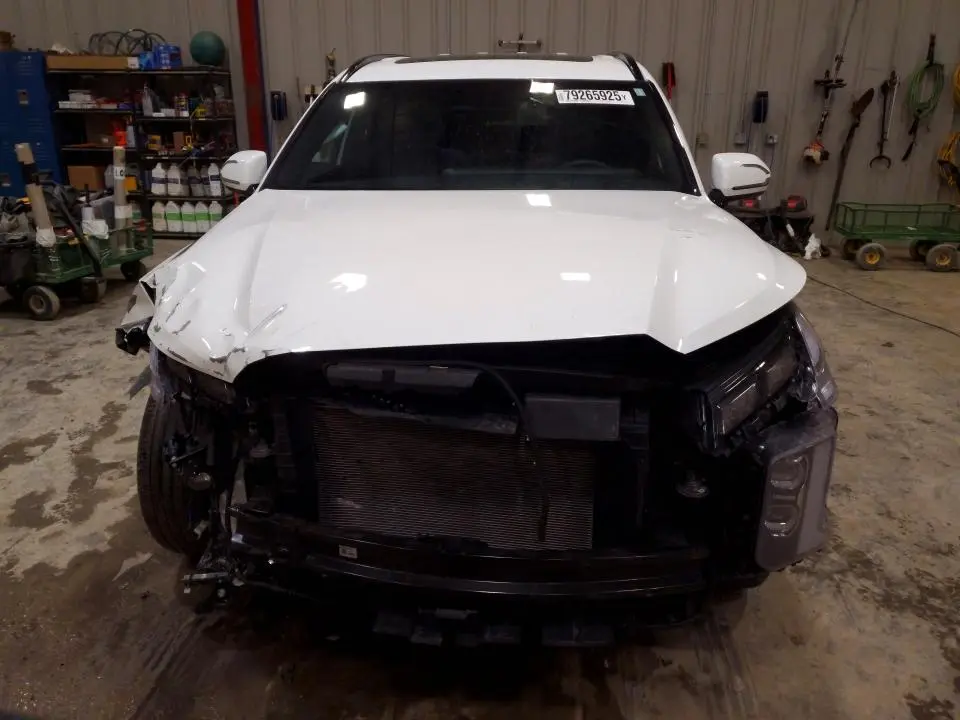 2024 HYUNDAI PALISADE CALLIGRAPHY NIGHT EDITION  