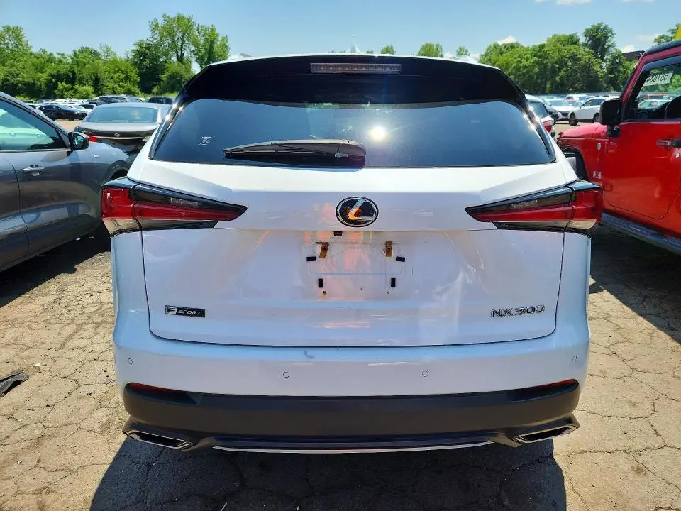 2019 LEXUS NX 300 F SPORT  