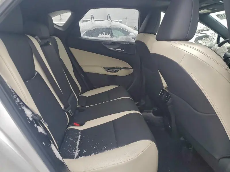 2024 LEXUS NX 250 PREMIUM  