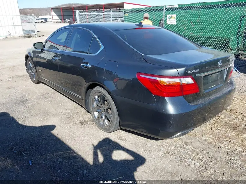 2010 LEXUS LS 460  