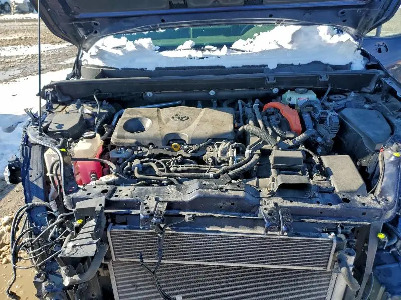 2019 TOYOTA RAV4 XLE  