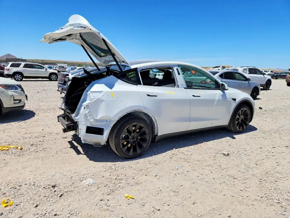 2025 TESLA MODEL Y   