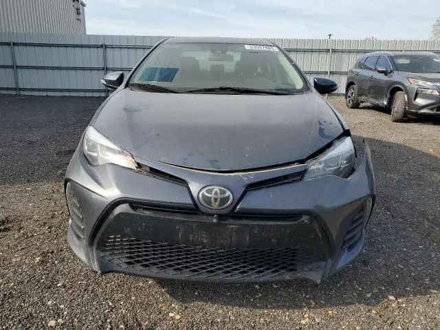 2019 TOYOTA COROLLA L  