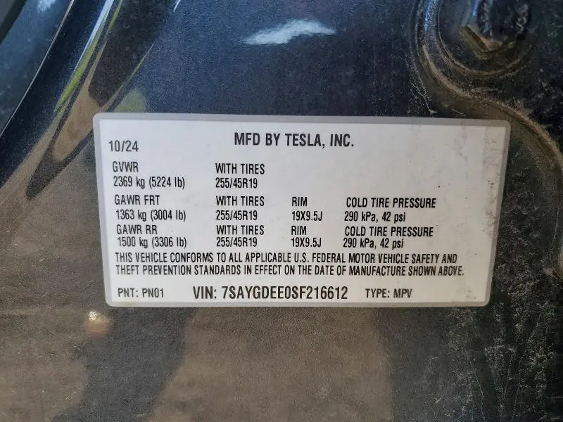 2025 TESLA MODEL Y   