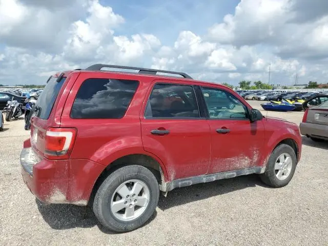 2011 FORD ESCAPE XLT