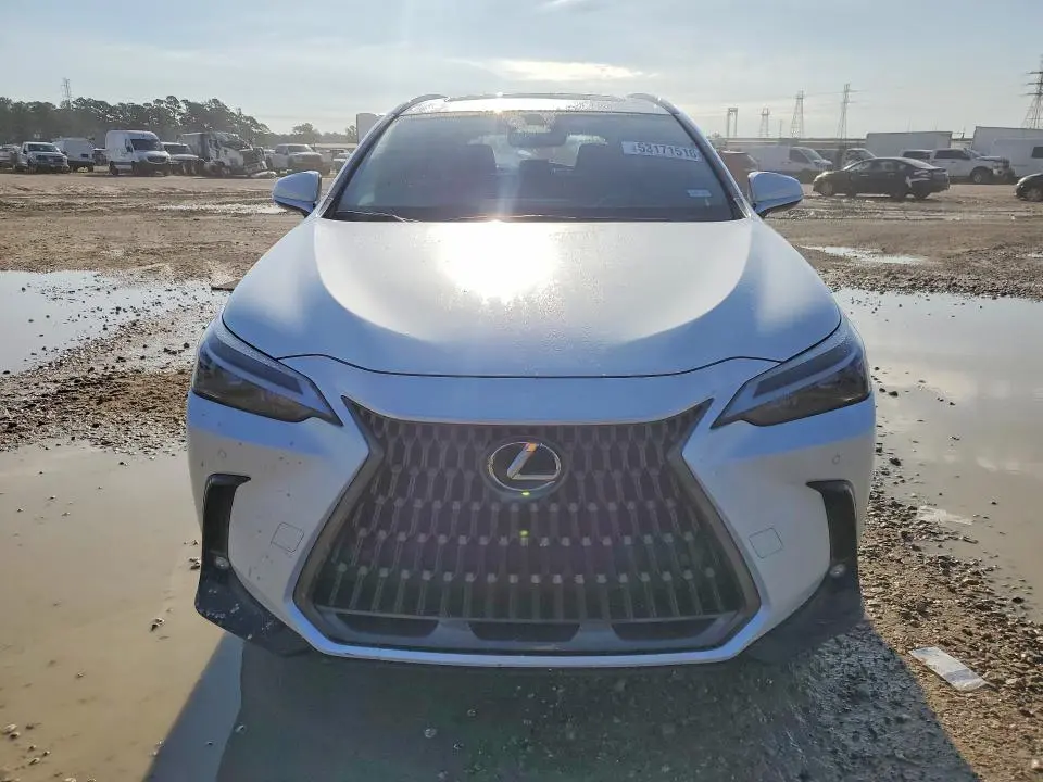 2025 LEXUS NX   