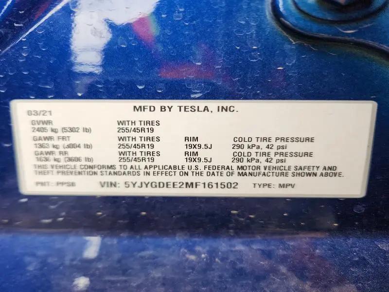 2021 TESLA MODEL Y   