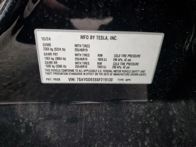 2025 TESLA MODEL Y   