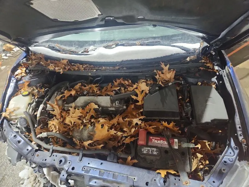 2012 TOYOTA SCION TC   