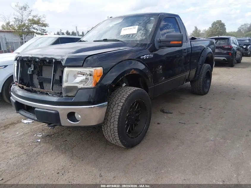 2010 FORD F-150 XL/XLT