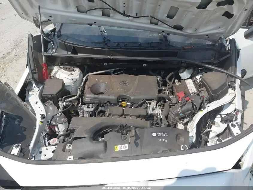 2019 TOYOTA RAV4 XLE