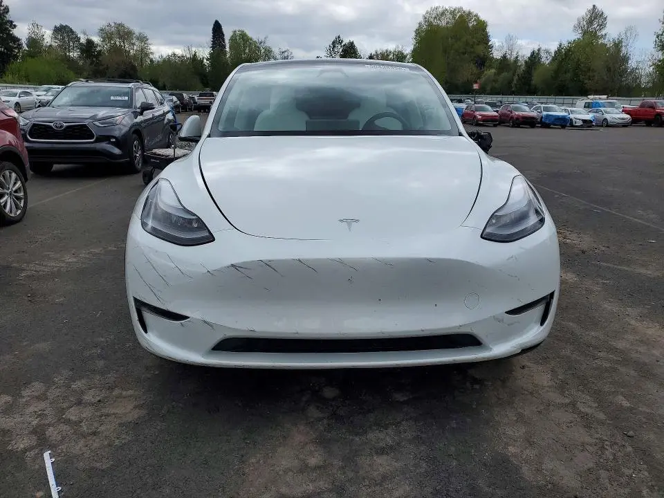 2025 TESLA MODEL Y   