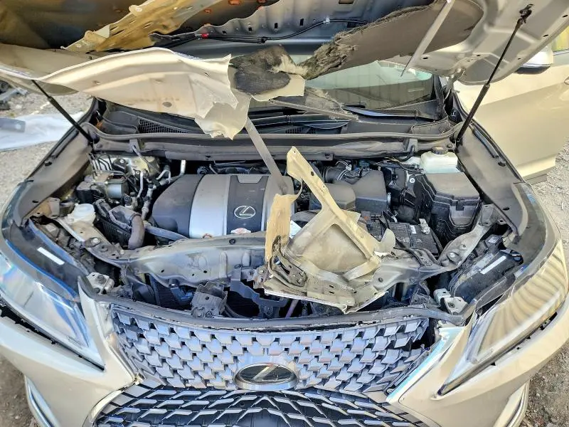 2020 LEXUS RX 350  