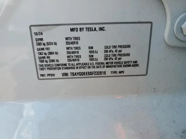 2025 TESLA MODEL Y   
