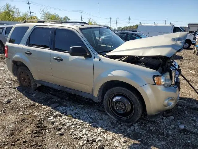 2010 FORD ESCAPE XLT  