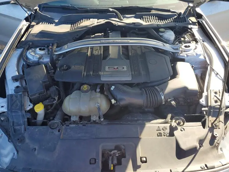 2019 FORD MUSTANG GT  