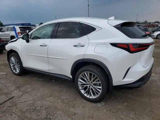 2024 LEXUS NX 350 LUXURY  